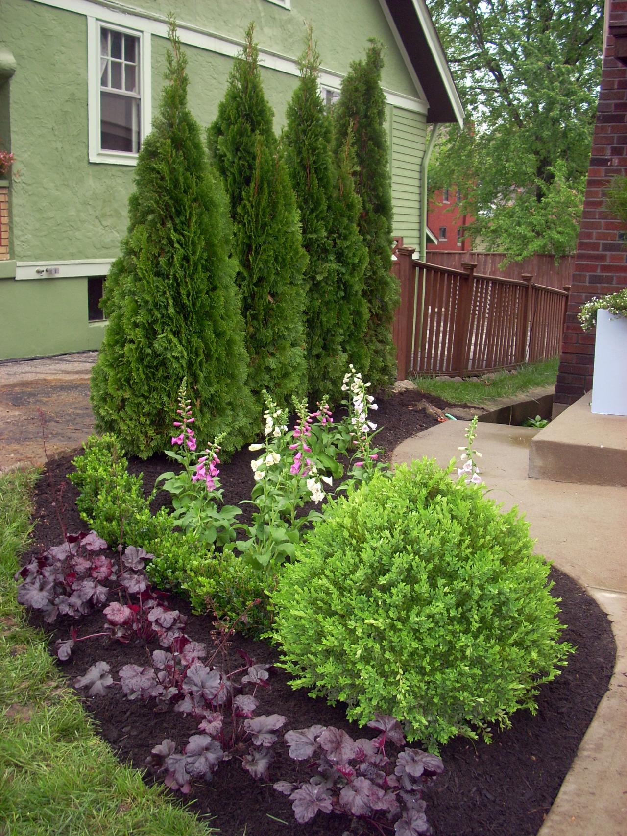 Modern Privacy Greenery for Large Space